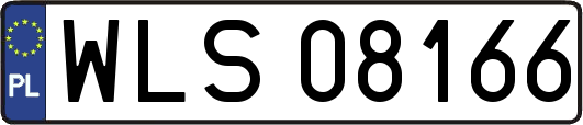 WLS08166