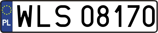 WLS08170