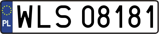 WLS08181