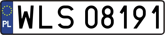 WLS08191