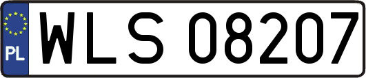WLS08207