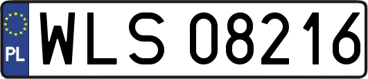 WLS08216