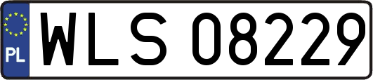 WLS08229