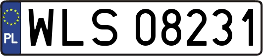 WLS08231