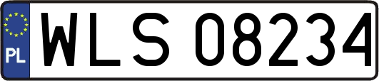 WLS08234