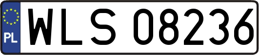 WLS08236