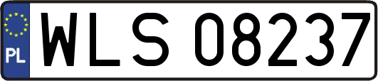WLS08237