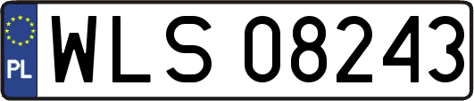 WLS08243