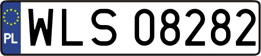 WLS08282