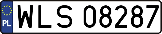 WLS08287
