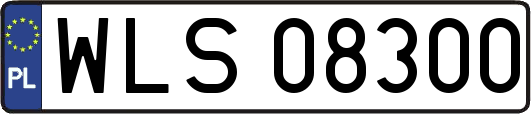 WLS08300