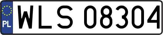 WLS08304