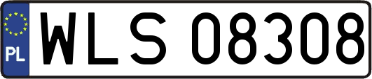 WLS08308
