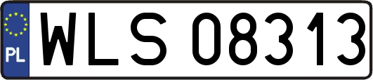 WLS08313
