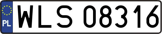 WLS08316