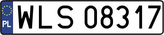 WLS08317