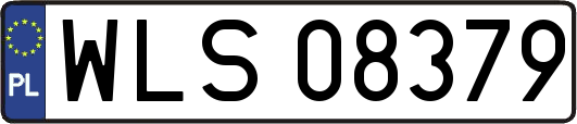 WLS08379