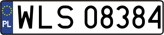 WLS08384