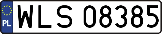WLS08385