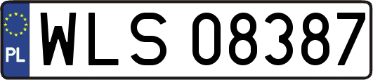 WLS08387
