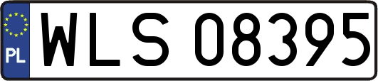 WLS08395