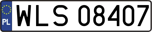 WLS08407