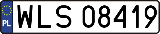 WLS08419