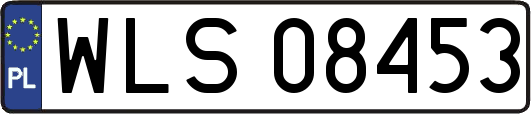 WLS08453