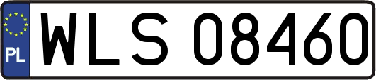 WLS08460