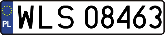 WLS08463