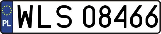 WLS08466