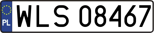 WLS08467