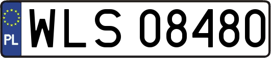WLS08480