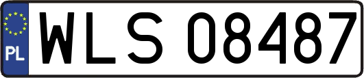 WLS08487