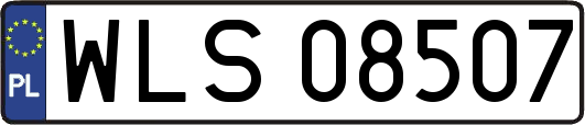 WLS08507