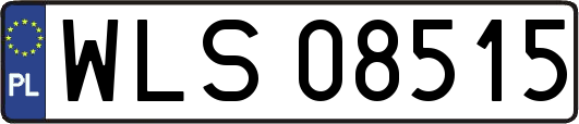 WLS08515