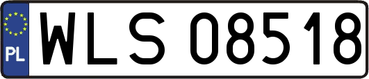 WLS08518