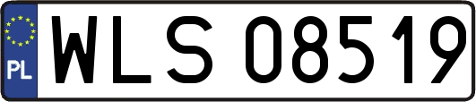 WLS08519