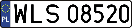 WLS08520