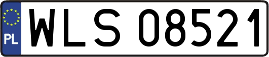 WLS08521