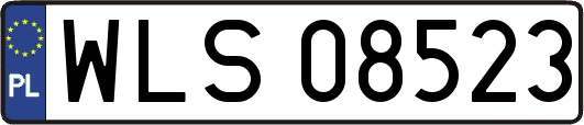 WLS08523