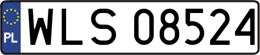 WLS08524