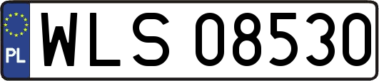 WLS08530