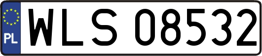 WLS08532