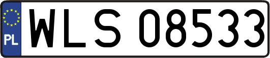 WLS08533