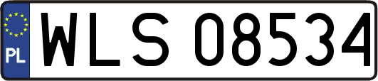 WLS08534