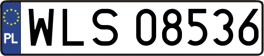 WLS08536