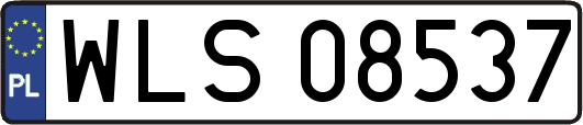 WLS08537