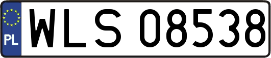 WLS08538