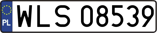 WLS08539